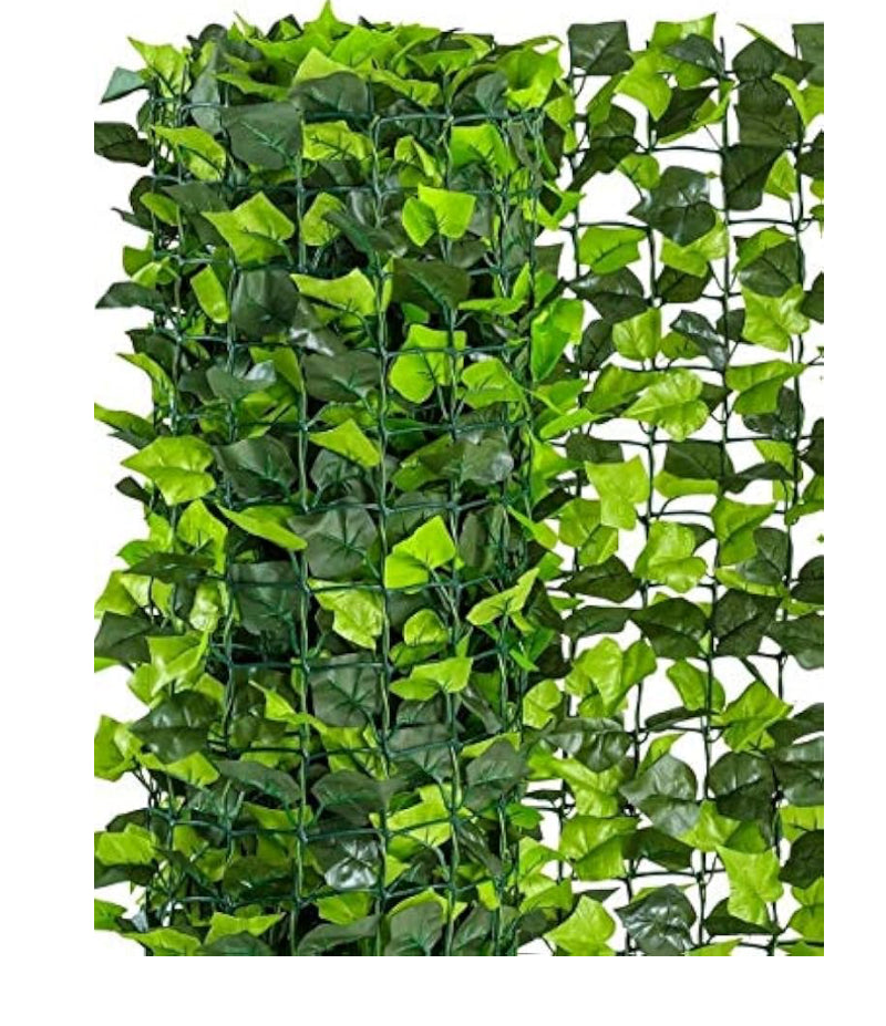 Sichtschutzhecke Efeu ABC Home Garden