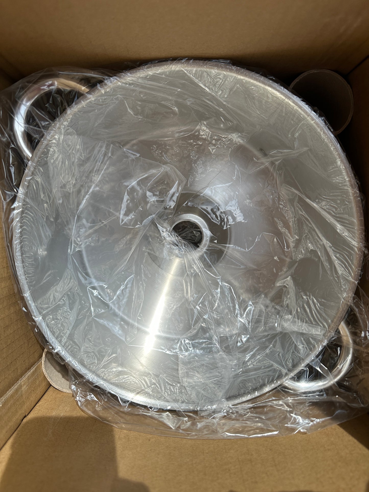 Induktion Dampfentsafter 15L Arebos